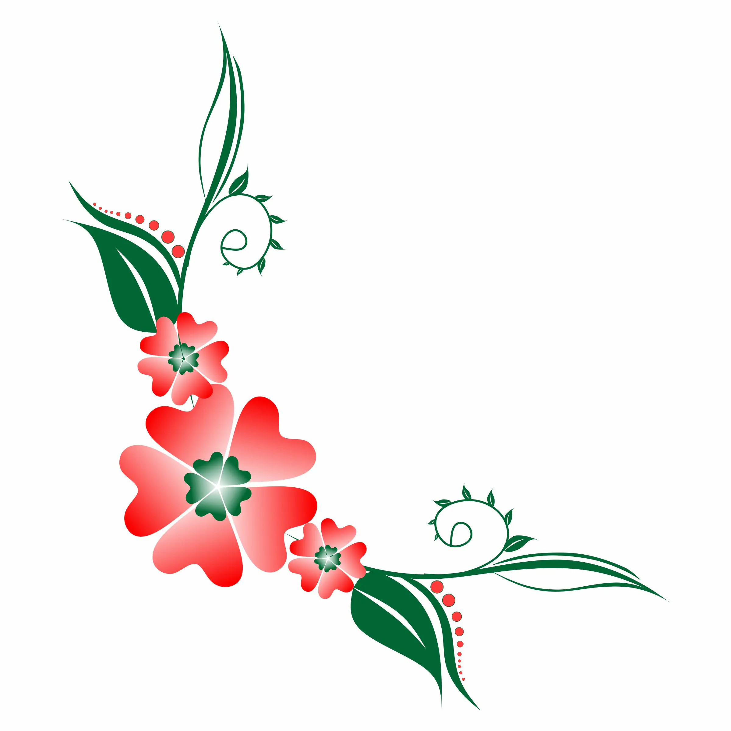 best color full design